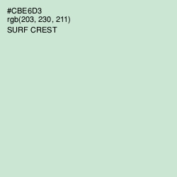 #CBE6D3 - Surf Crest Color Image